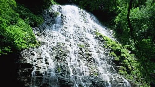 节能科技高标准